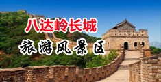 免费操,鸡巴中国北京-八达岭长城旅游风景区